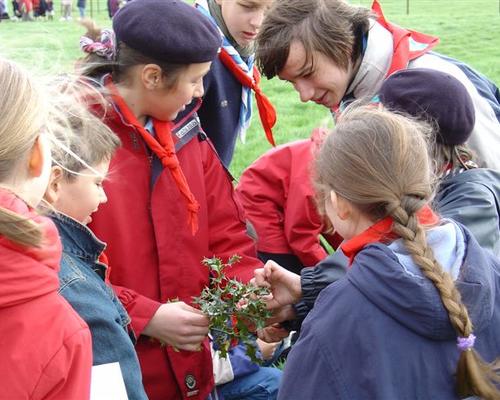Les scouts tressent la Couronne d'épines