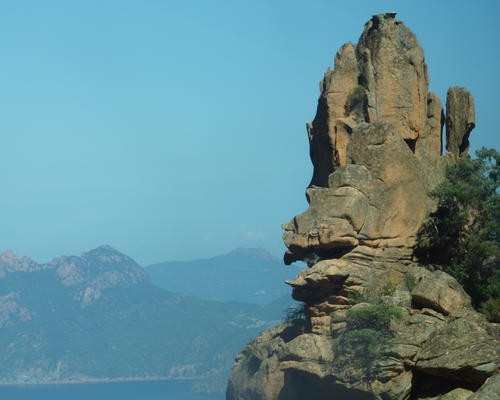 DSC00514