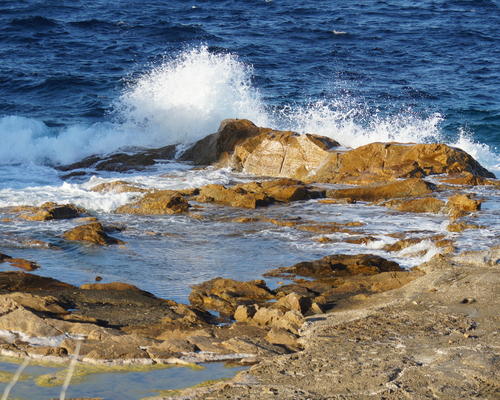 DSC01194