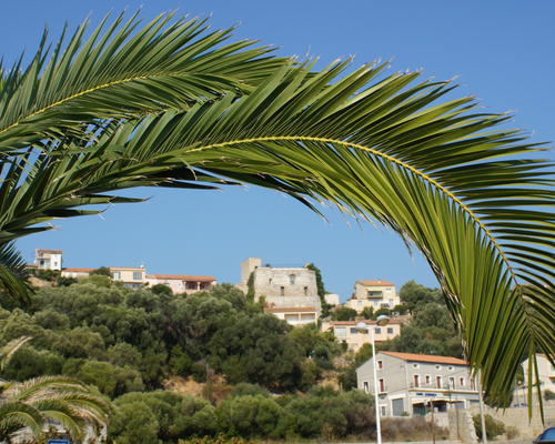 DSC00782