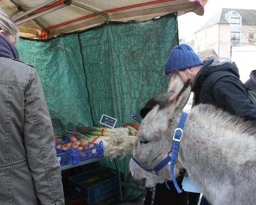 Évangélisation sur les marchés (4)