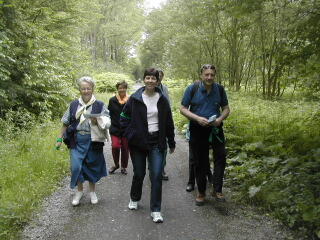 La foret est belle