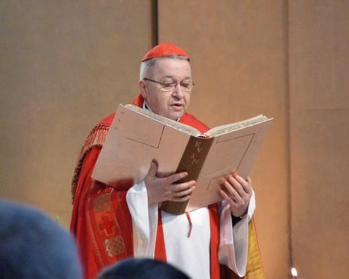 Cardinal_Vingt-trois.JPG