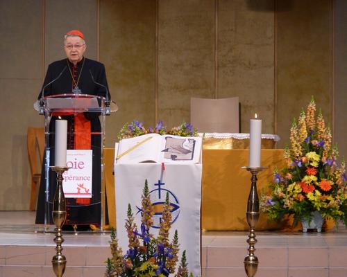 Cardinal-vingt-Trois_2.JPG