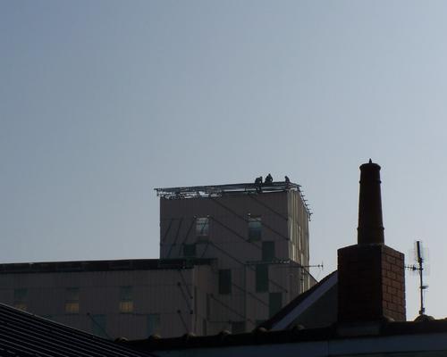 100_7910.JPG