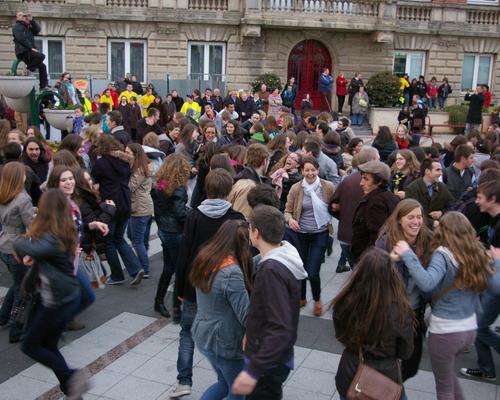 flashmob