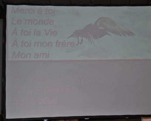 merci mon ami