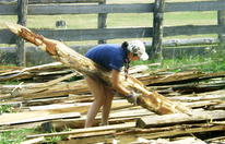 premier chantier bois