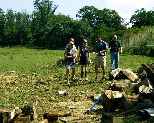 le bois chez les bisons