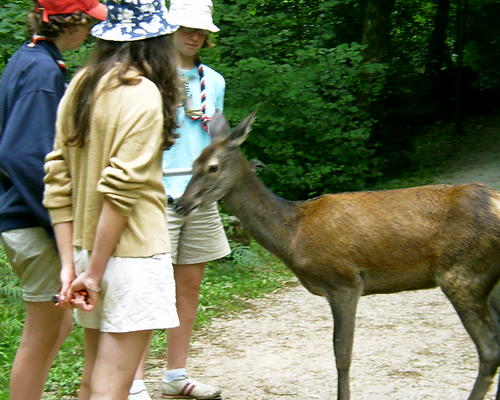 rencontre