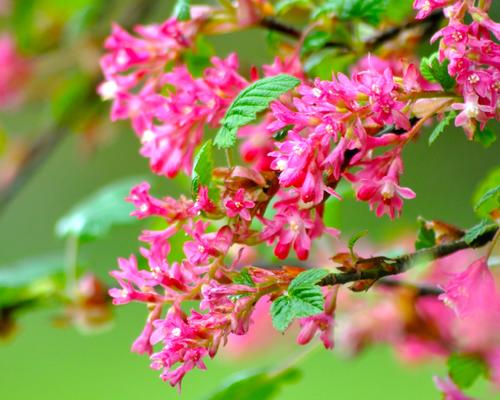 WE_Avril2012_05