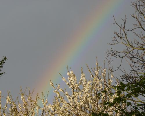 23 et 24 avril 2012 (14)