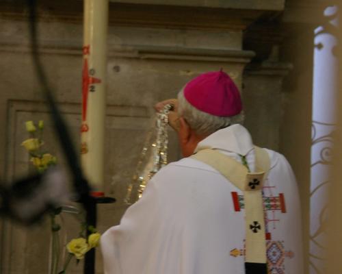 IMGP5438.JPG