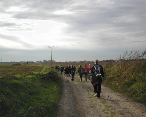 voilà les cailloux