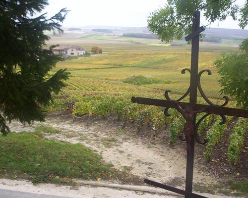 paysage