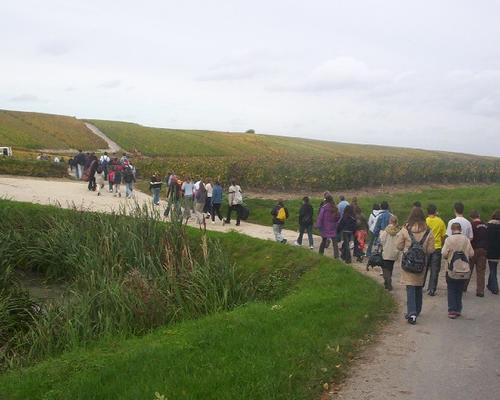 marche sur les côteaux...