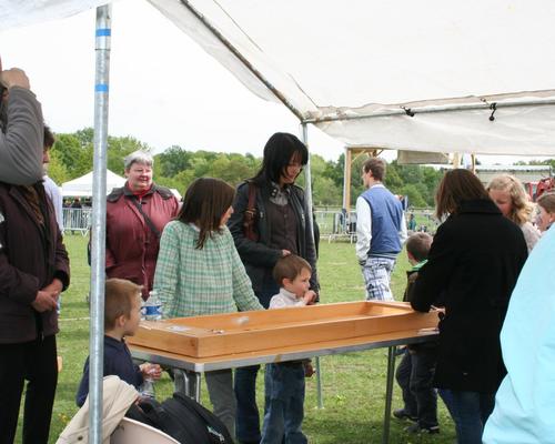 IMG_0702.JPG