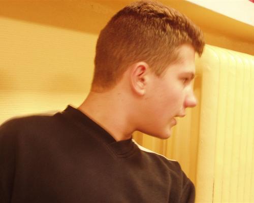 david