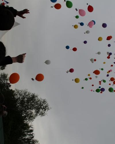 IMG_9384.JPG