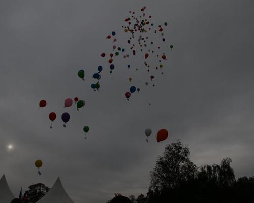 IMG_9386.JPG