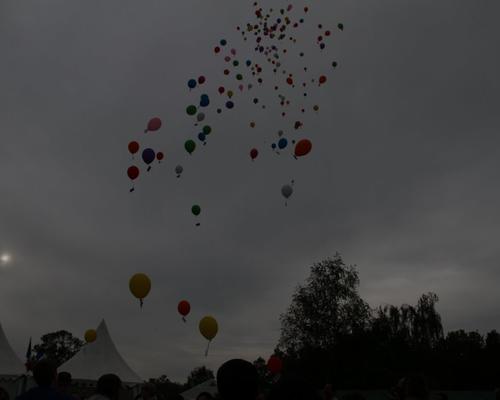 IMG_9387.JPG