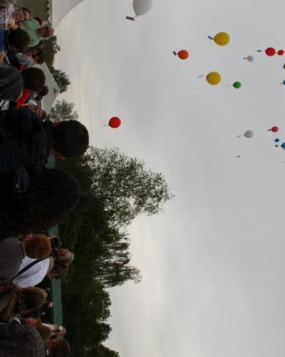 IMG_9388.JPG