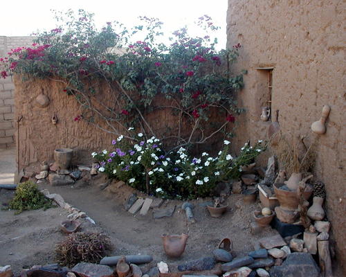 Tam: Jardinet des petites soeurs de Jésus