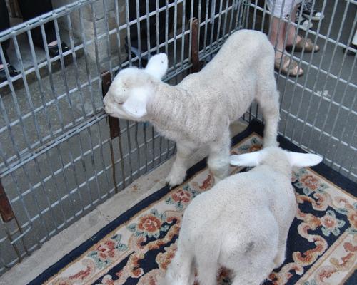 Une image de tendresse.