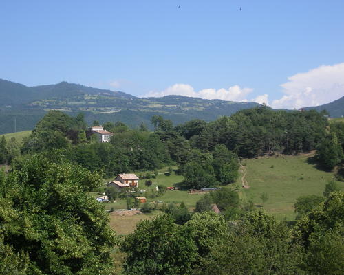 IMGP1440
