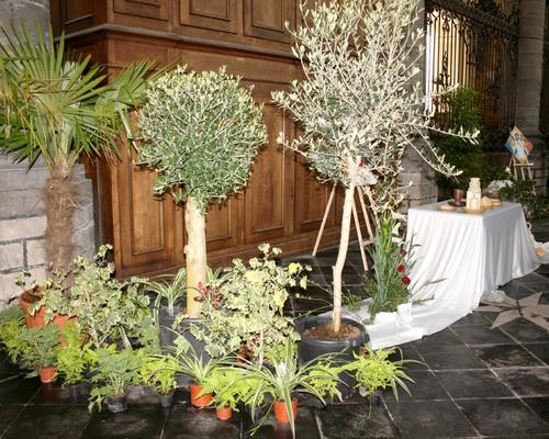 Sortie des jardins