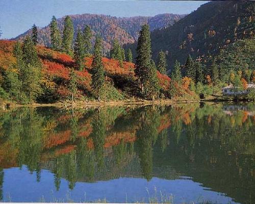 Artvin