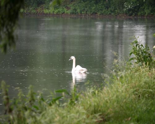 1206_IMG_0912B.JPG