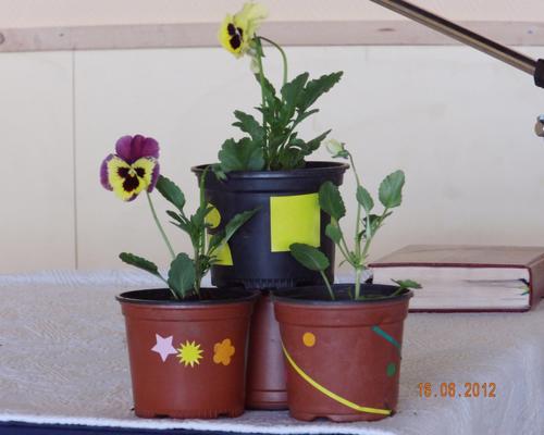 DSCI0825.JPG
