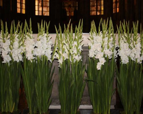 Décoration florale par Anne-Marie TICHKIEWITCH et MARYLISE