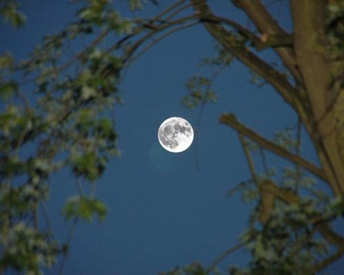 DSC_7629.JPG