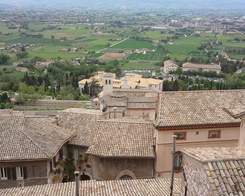 Assise