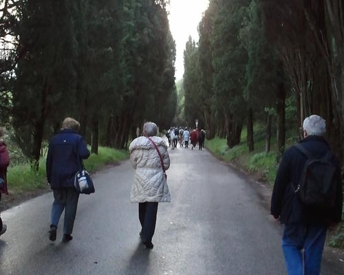 Assise chemin