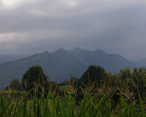 IMGP8169.JPG