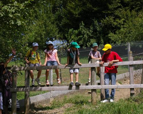 pélé jeunes 2012