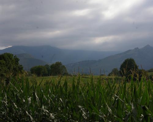 montagne