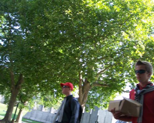 100_4908.JPG