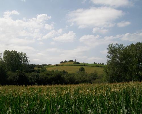 100_5042.JPG