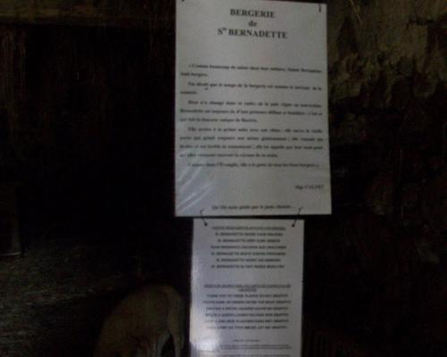 100_5118.JPG
