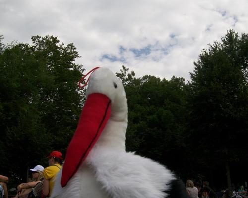 100_5496.JPG