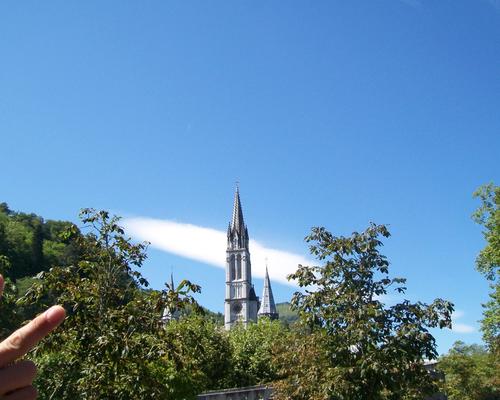 100_6484.JPG
