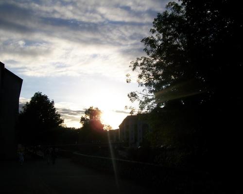 100_6327.JPG