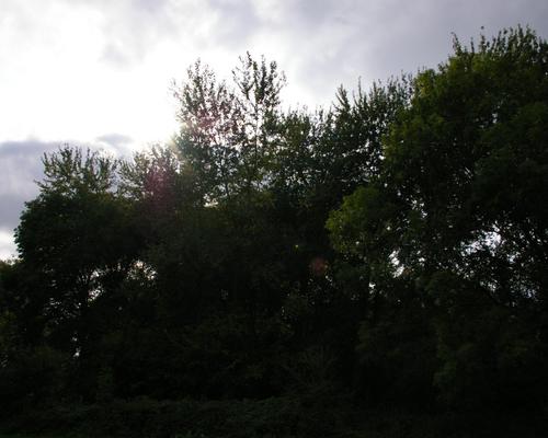 IMGP9660.JPG