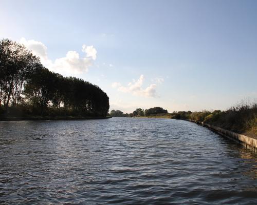 IMG_3635.JPG