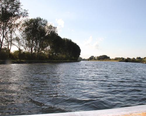 IMG_3637.JPG
