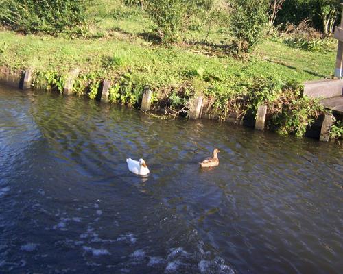 100_8576.JPG